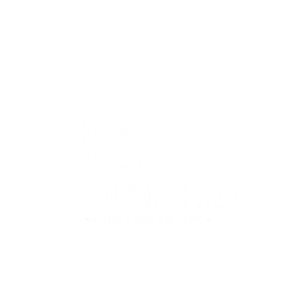 moutahid photography